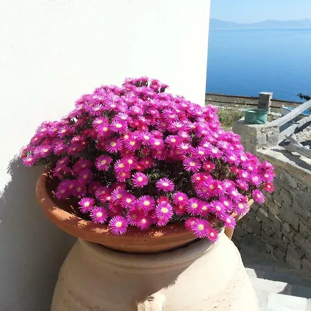 Aegean View - Seaside Apartment In Syros Azolimnos Exterior photo